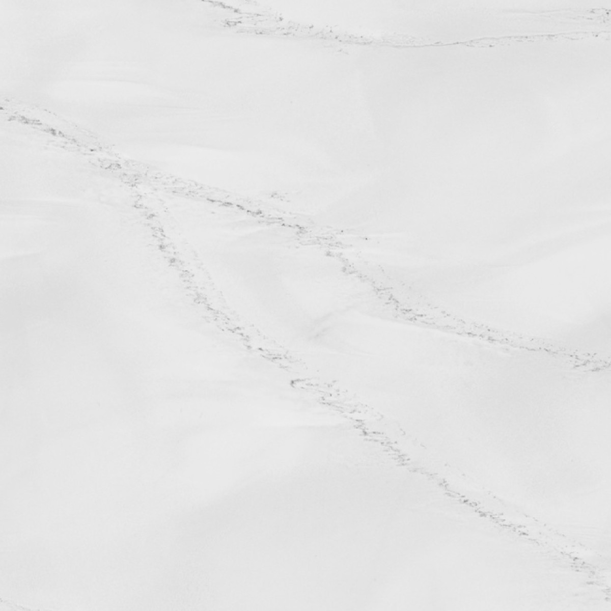 Venato Blanc (4)-small Venato Blanc (4)-small